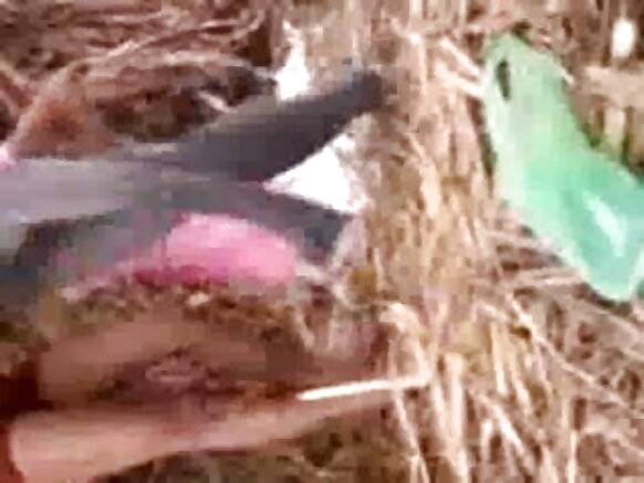 উত্তর ভারতের হট মেয়ে তার প্রেমিকের সাথে মাঠে মজা করেছে সেক্সি ব্লু মুভি কমেডি