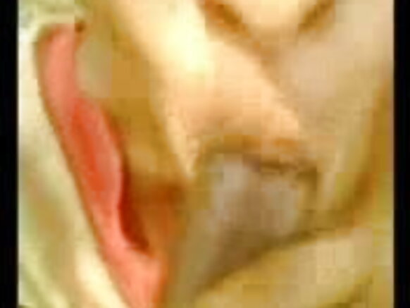 ভারতের ছোট শহরের মেয়ে হলিউডের বাঁড়া চোষা সেক্সি ভিডিও মুভি সন্ধ্যায়