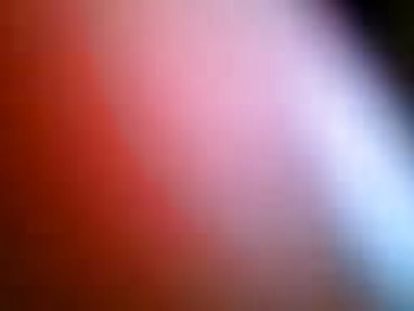 sexy animals সেক্সি নকল সেক্স ভিডিও