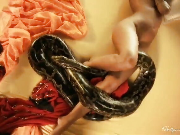 ডান্সিং সাপ সেক্সি মুভি দেখতে নাচ