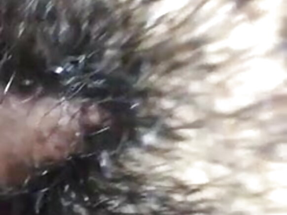 desi hot wife sexy movie bf হিন্দি লোম বউ সেক্সি গুদ চুদাই