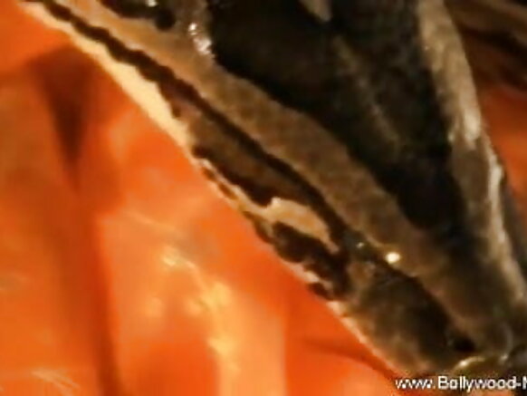 ভারত সাপ ভোজপুরি সিনেমার সেক্স ভিডিও হটি এবং অবিশ্বাস্য নর্তকী