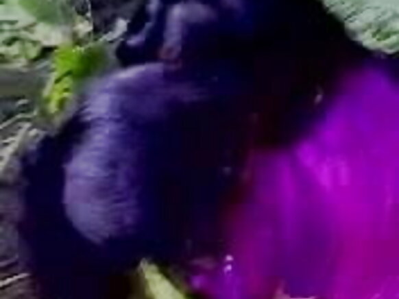 অপেশাদার ভারতীয় মেয়েদের চুমু সেক্সি অপেশাদার মুভি.