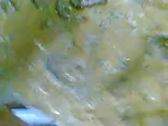 ভারতীয় মেয়ে আশ্চর্যজনক এইচডি নতুন সেক্সি মেয়ে জামাকাপড়